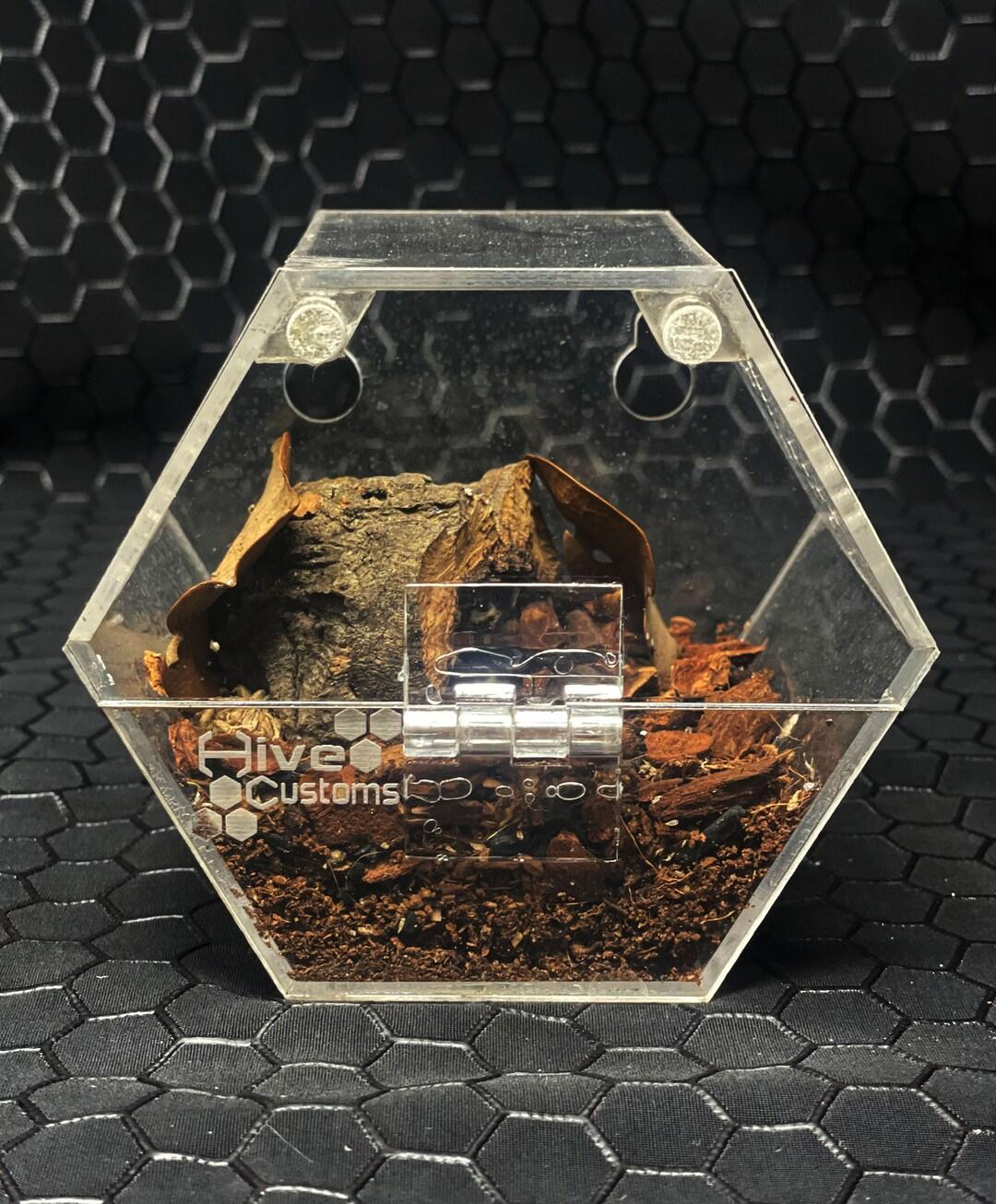 Oswerown: Custom Habitats for Exotic Insects